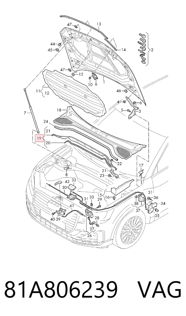  81A806239 VAG