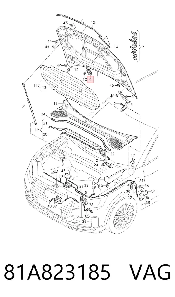  81A823185 VAG