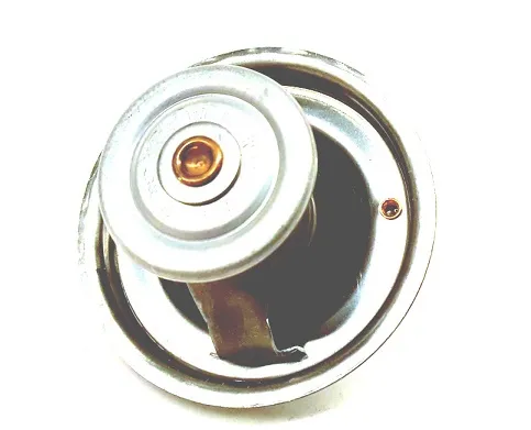 Termostato 022121113 VAG