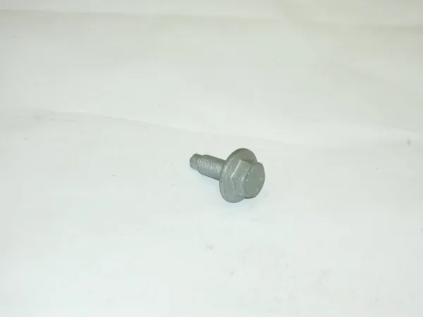  N10045504 VAG
