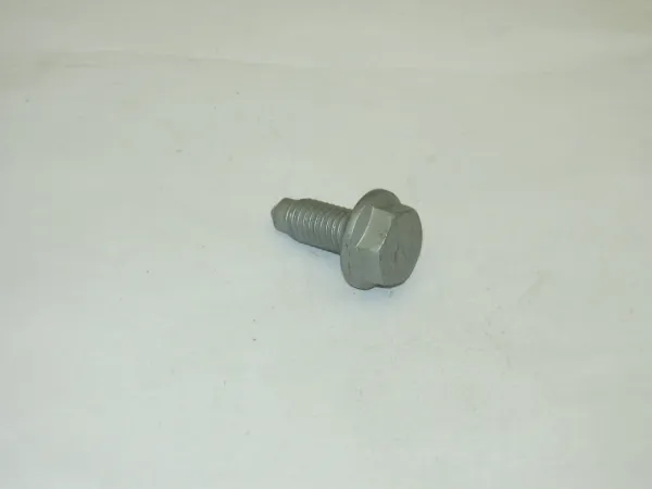  N10285907 VAG