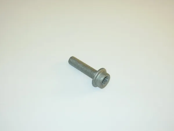 Parafuso de cabeça de motor (CBC) N10619401 VAG