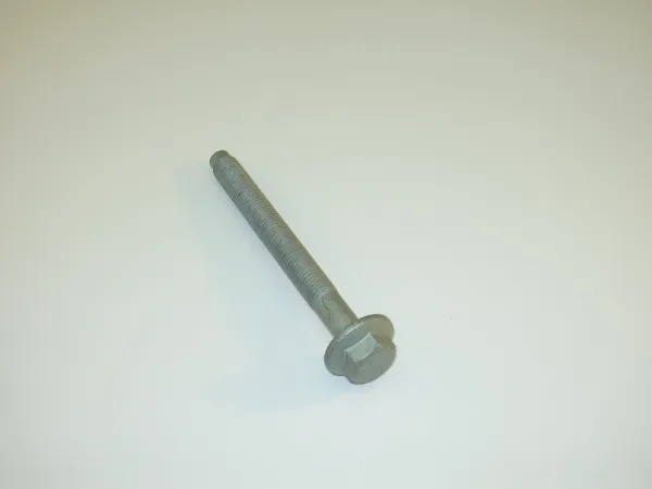  N10694701 VAG