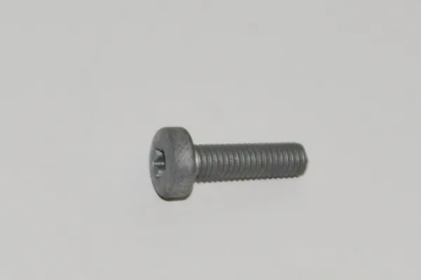 Parafuso N10700201 VAG
