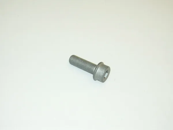 Parafuso do freio de suporte N90740302 VAG