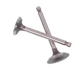 Válvula de admissão