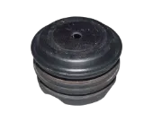 Grade de proteção da mola traseira