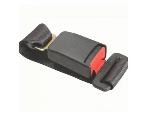 Barra (fecho) de fixação da correia de segurança traseira direita 888421897R Renault (RVI)