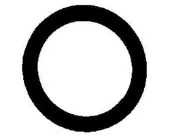 Vedante da tampa de válvulas de motor, anel