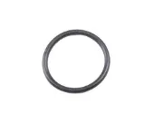 Vedante anular de sensor de velocidade da Caixa de Mudança (de acionamento)