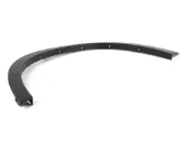 Placa sobreposta do pára-lama dianteiro esquerdo