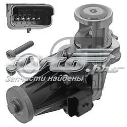 Válvula EGR de recirculação dos gases Citroen C3 2R, 2C