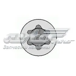 143200202 Victor Reinz
