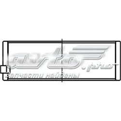 Folhas inseridas principais de cambota, kit, 1ª reparação ( + 0,25) para Citroen C15  VD
