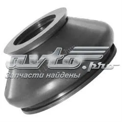 BC0828 Bcguma