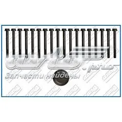 Parafuso de cabeça de motor (CBC) Nissan Terrano 2 R20