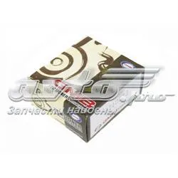 Rolo de reguladora de tensão da correia do mecanismo de distribuição de gás KIA Rio 2 JB