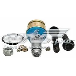 Suporte de esfera superior 5001066 Raybestos