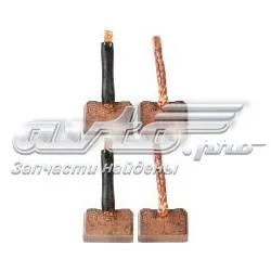 Escova do motor de arranco Isuzu Trooper UBS