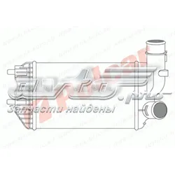 Radiador de intercooler Citroen Jumper 244