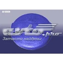 A111311120 Chery