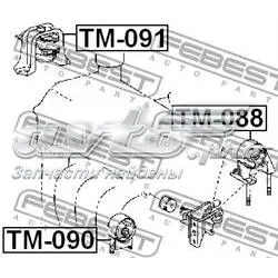TM091 Febest