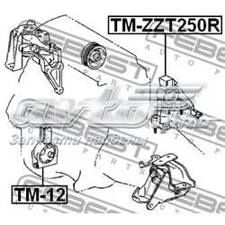 TMZZT250R Febest