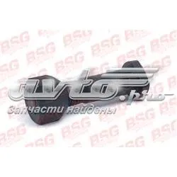 Prego de roda traseiro 30230010 BSG