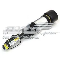 Amortecedor dianteiro AS2605 Arnott