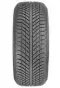 529006 Goodyear
