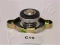 330CC19 Ashika