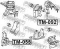 TM055 Febest