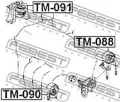 TM091 Febest