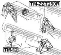 TMZZT250R Febest