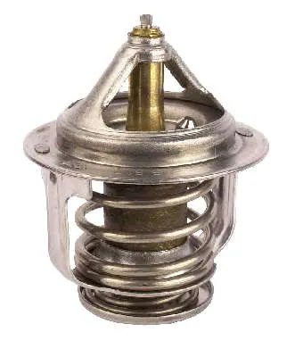 Termostato Nissan Sunny 3 Y10