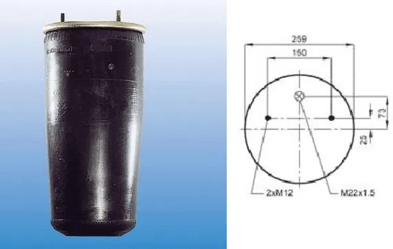 Coxim pneumático (suspensão de lâminas pneumática) do eixo 5002030105P Magnum Technology