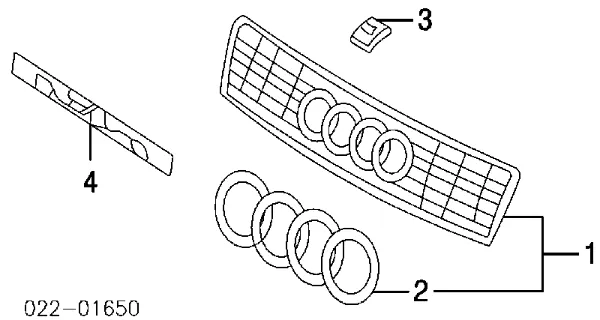 Grelha do radiador Audi A4 B6