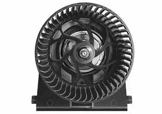 V15031879 Vemo