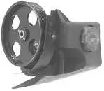 Bomba da Direção hidrâulica assistida MGP2111 Maxgear