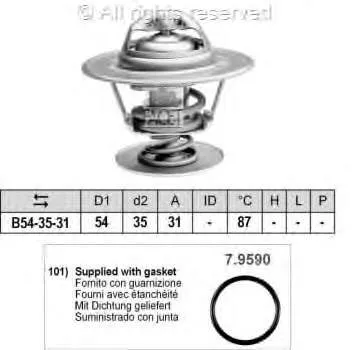 78432 Facet