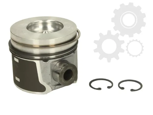 Pistão do kit para 1 cilindro, STD 8743700000 Nural