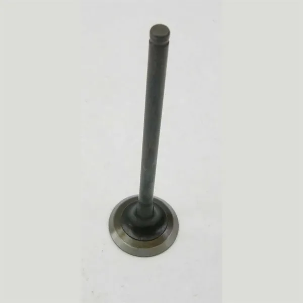 Válvula de admissão V95235 AE