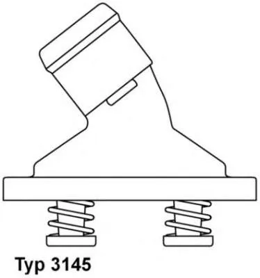 Termostato 314579D Wahler