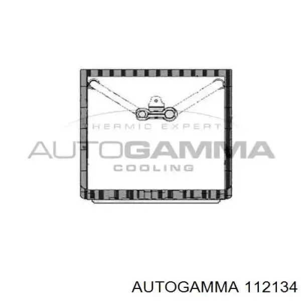 Vaporizador de aparelho de ar condicionado Jaguar X-type CF1