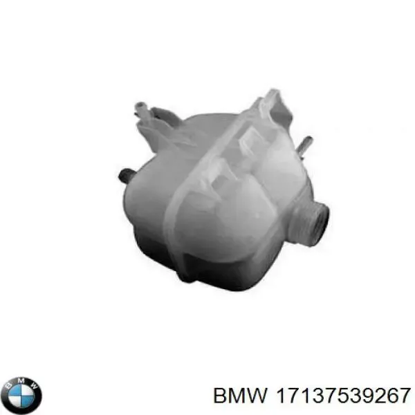 Tanque de expansão do sistema de esfriamento 17137539267 BMW