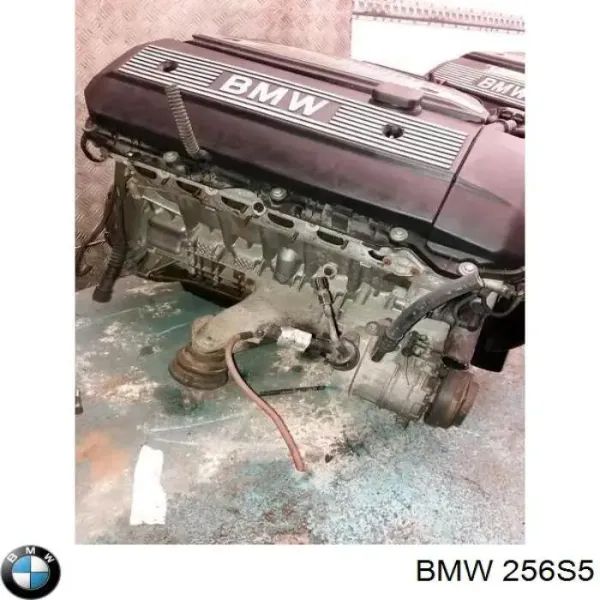 Motor montado 256S5 BMW
