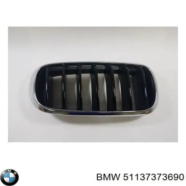 Grelha do radiador direita 51137373690 BMW