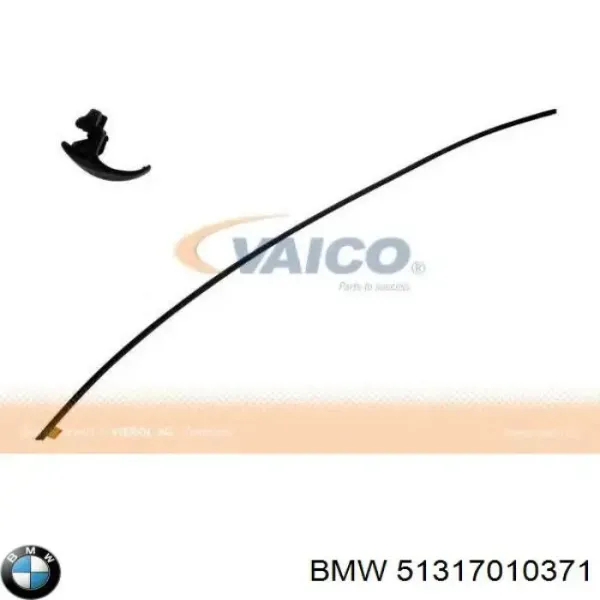 Pára-brisas 51317010371 BMW
