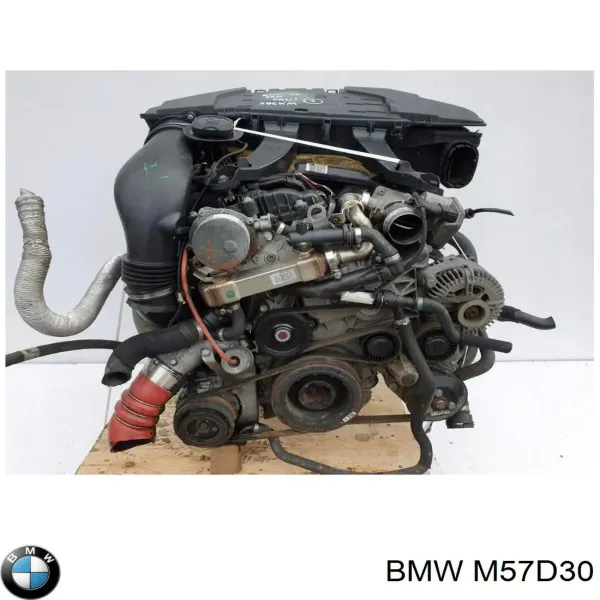 Motor montado M57D30 BMW