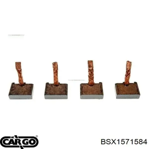 Escova do motor de arranco BSX1571584 Cargo
